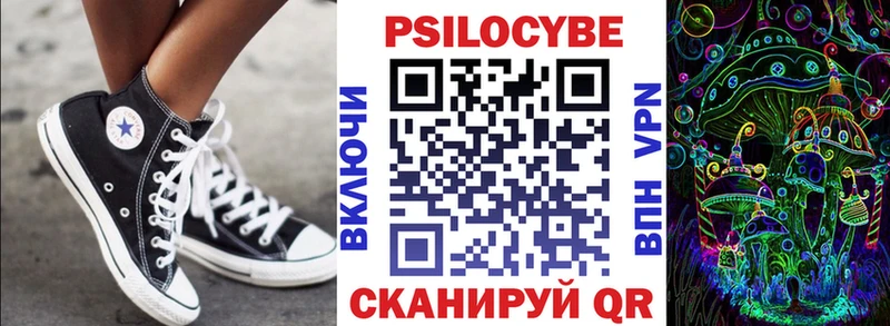 Купить закладки  Губаха  Псилоцибиновые грибы Psilocybe 