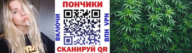Купить где  Губаха  Канабис LSD WEED 